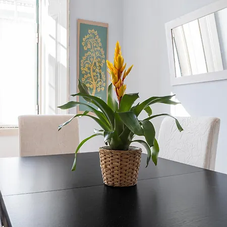 Mands House Апартаменты